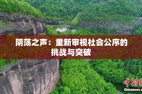 阴荡之声：重新审视社会公序的挑战与突破