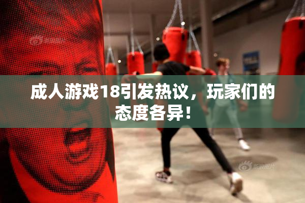 成人游戏18引发热议，玩家们的态度各异！
