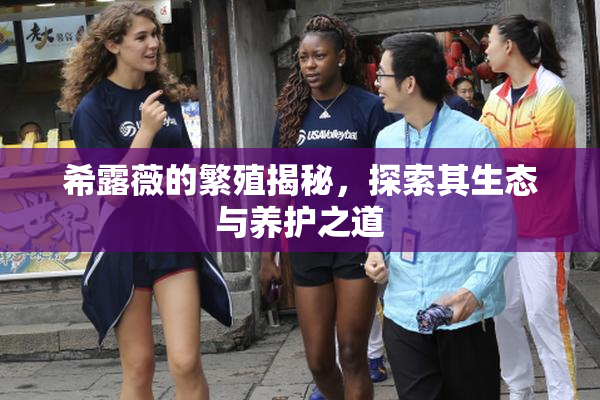 希露薇的繁殖揭秘，探索其生态与养护之道