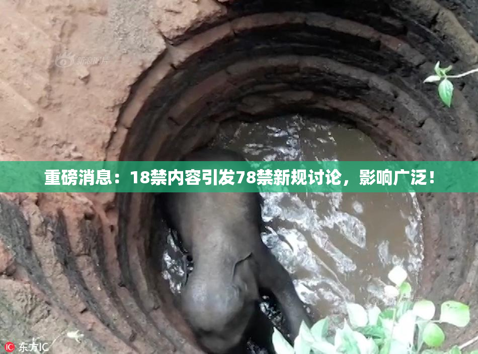 重磅消息：18禁内容引发78禁新规讨论，影响广泛！