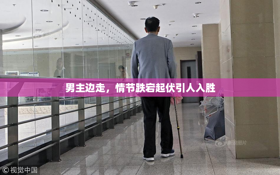 男主边走，情节跌宕起伏引人入胜