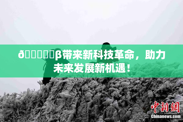 🍆❌‌β带来新科技革命，助力未来发展新机遇！