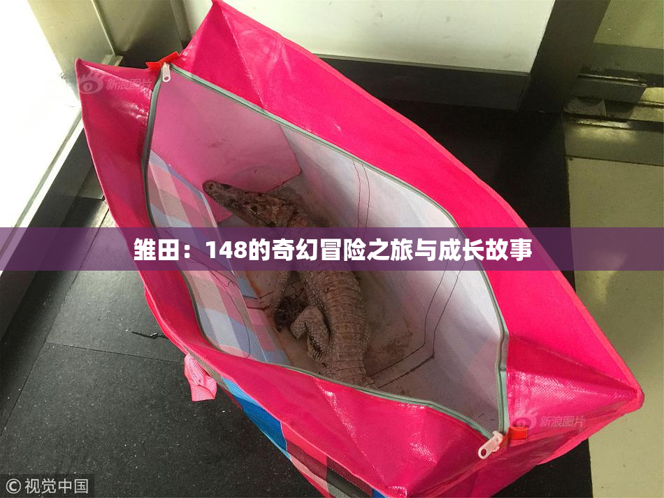 雏田：148的奇幻冒险之旅与成长故事