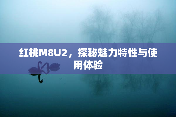 红桃M8U2，探秘魅力特性与使用体验