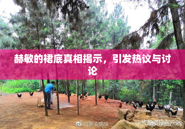 赫敏的裙底真相揭示，引发热议与讨论