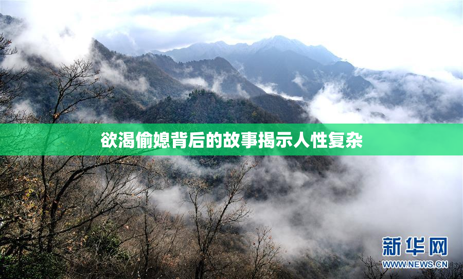 欲渴偷媳背后的故事揭示人性复杂