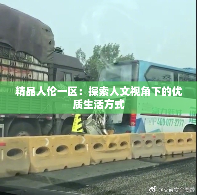 精品人伦一区：探索人文视角下的优质生活方式