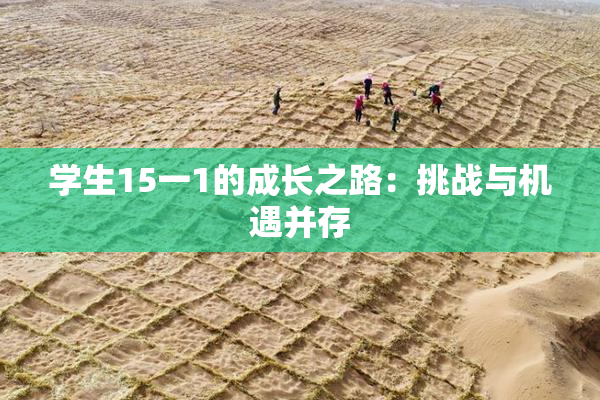 学生15一1的成长之路：挑战与机遇并存