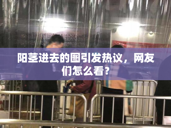 阳茎进去的图引发热议，网友们怎么看？