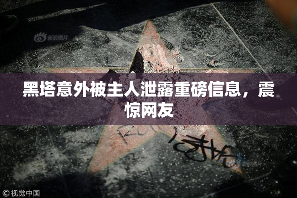 黑塔意外被主人泄露重磅信息，震惊网友