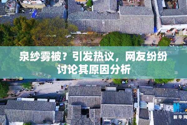 泉纱雾被？引发热议，网友纷纷讨论其原因分析