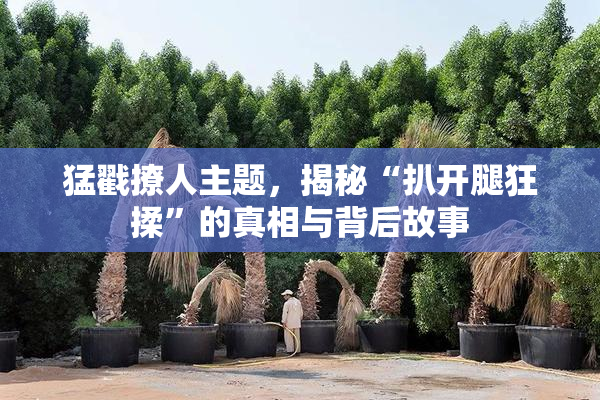 猛戳撩人主题，揭秘“扒开腿狂揉”的真相与背后故事