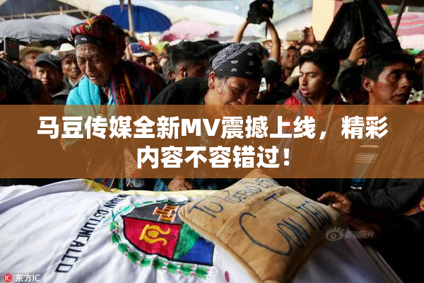 马豆传媒全新MV震撼上线，精彩内容不容错过！