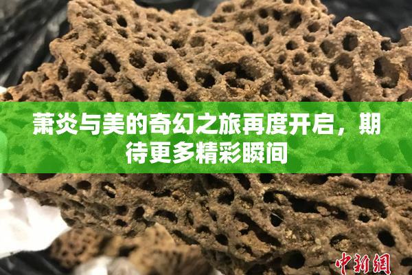 萧炎与美的奇幻之旅再度开启，期待更多精彩瞬间