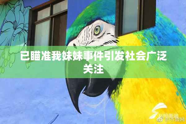 已瞄准我妹妹事件引发社会广泛关注