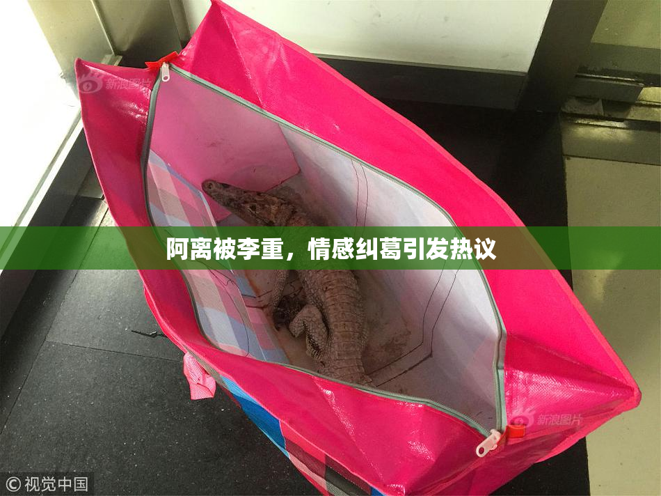 阿离被李重，情感纠葛引发热议