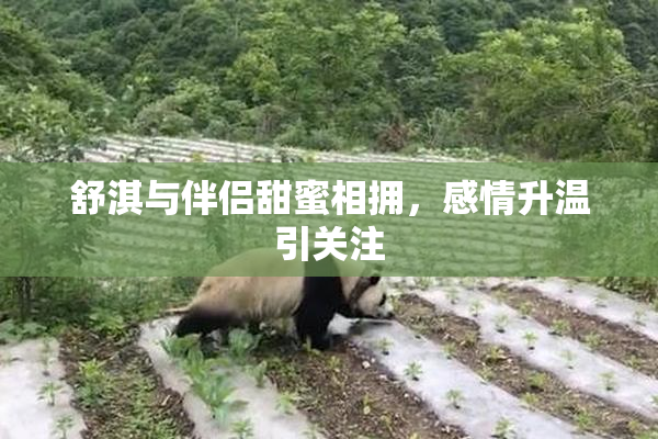 舒淇与伴侣甜蜜相拥，感情升温引关注