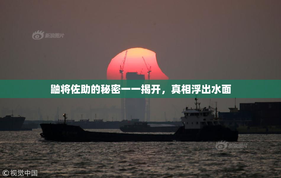 鼬将佐助的秘密一一揭开，真相浮出水面