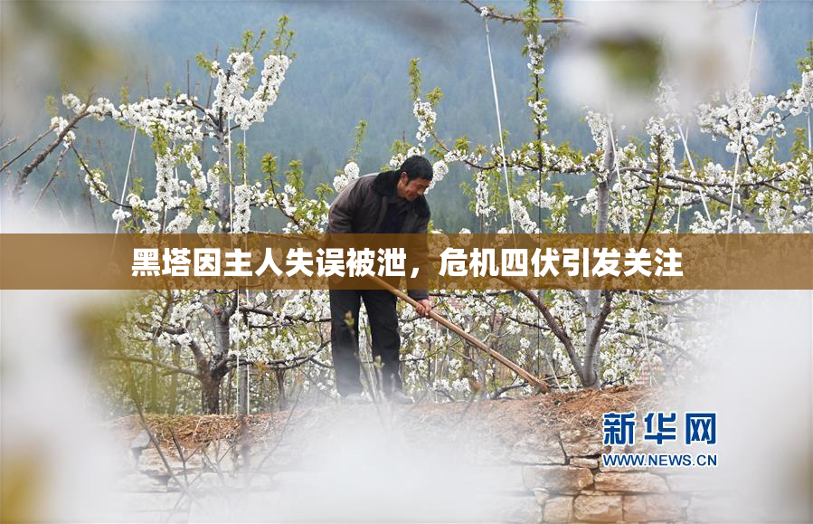 黑塔因主人失误被泄，危机四伏引发关注