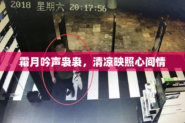 霜月吟声袅袅，清凉映照心间情