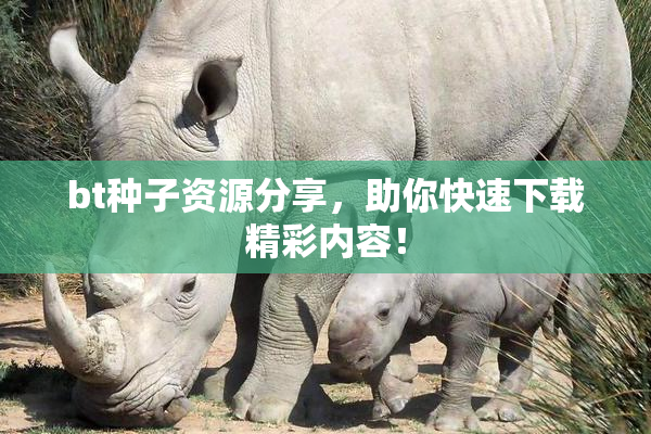 bt种子资源分享，助你快速下载精彩内容！