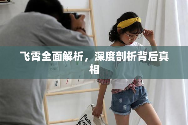 飞霄全面解析，深度剖析背后真相