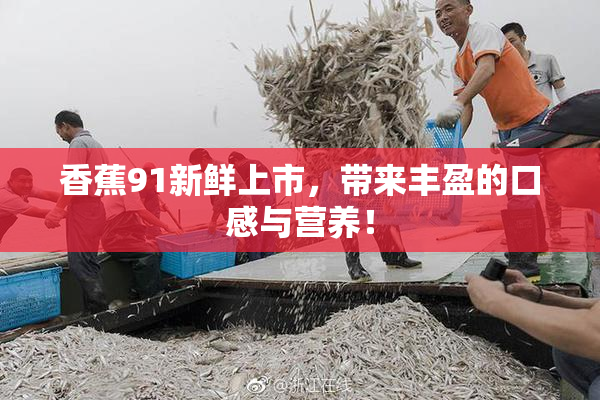 香蕉91新鲜上市，带来丰盈的口感与营养！