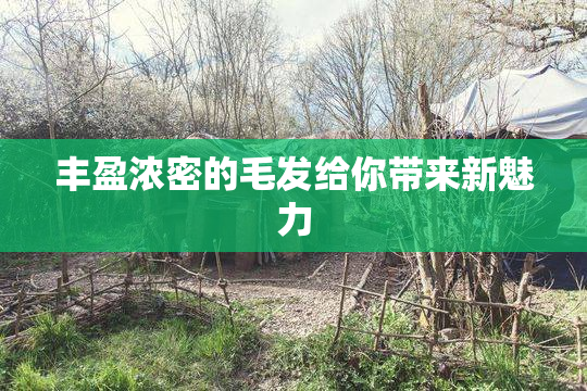 丰盈浓密的毛发给你带来新魅力