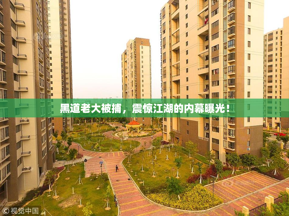 黑道老大被捕，震惊江湖的内幕曝光！