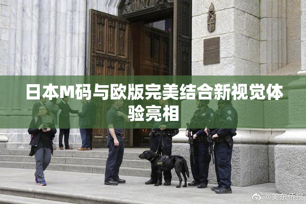 日本M码与欧版完美结合新视觉体验亮相
