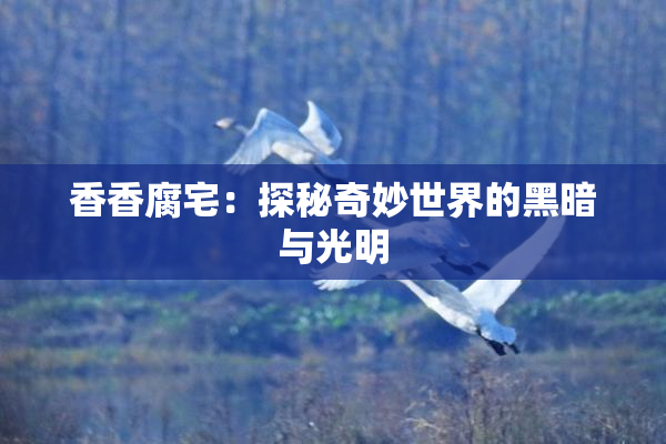 香香腐宅：探秘奇妙世界的黑暗与光明
