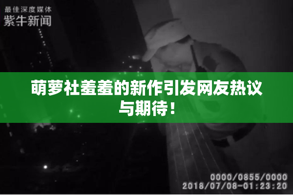 萌萝社羞羞的新作引发网友热议与期待！
