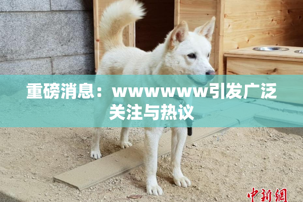 重磅消息：wwwwww引发广泛关注与热议
