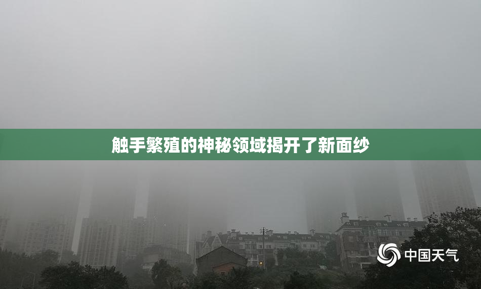 触手繁殖的神秘领域揭开了新面纱