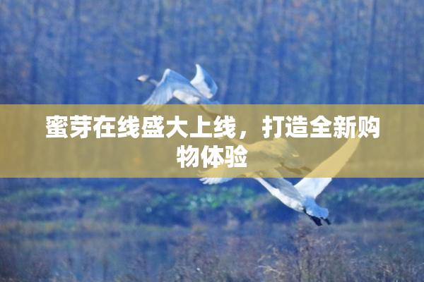 蜜芽在线盛大上线，打造全新购物体验