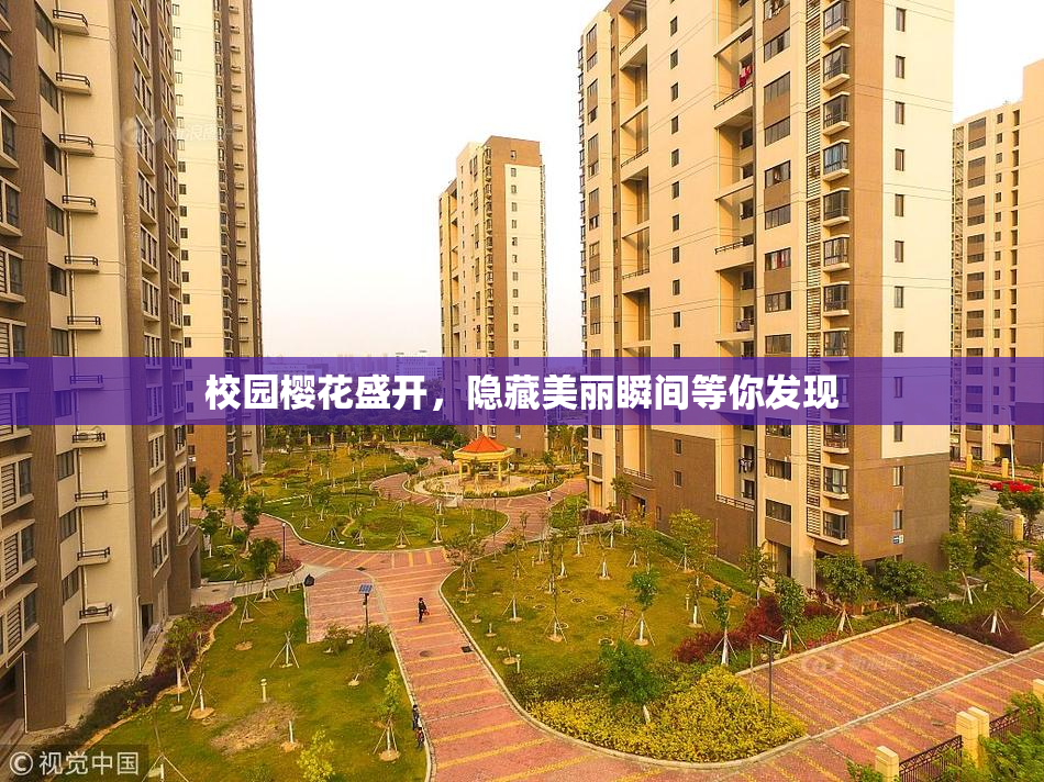 校园樱花盛开，隐藏美丽瞬间等你发现