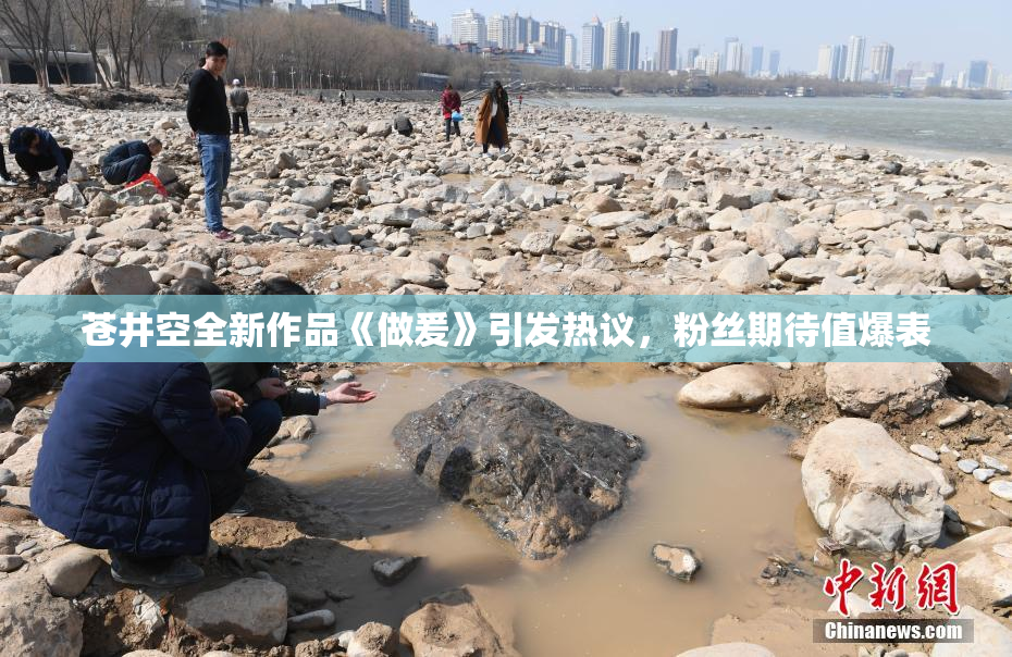 苍井空全新作品《做爰》引发热议，粉丝期待值爆表