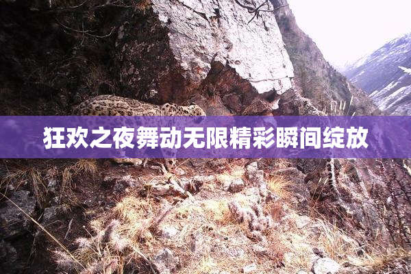 狂欢之夜舞动无限精彩瞬间绽放