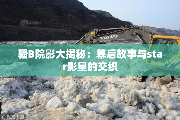 骚B院影大揭秘：幕后故事与star影星的交织