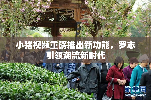 小猪视频重磅推出新功能，罗志引领潮流新时代