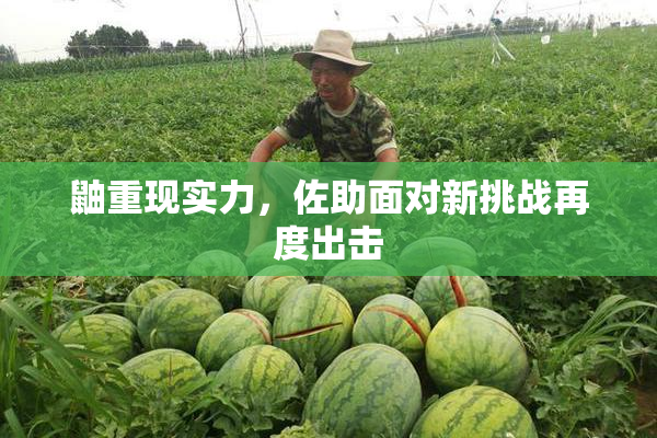 鼬重现实力，佐助面对新挑战再度出击