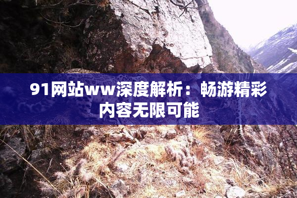 91网站ww深度解析：畅游精彩内容无限可能