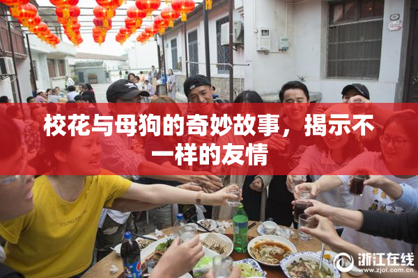 校花与母狗的奇妙故事，揭示不一样的友情