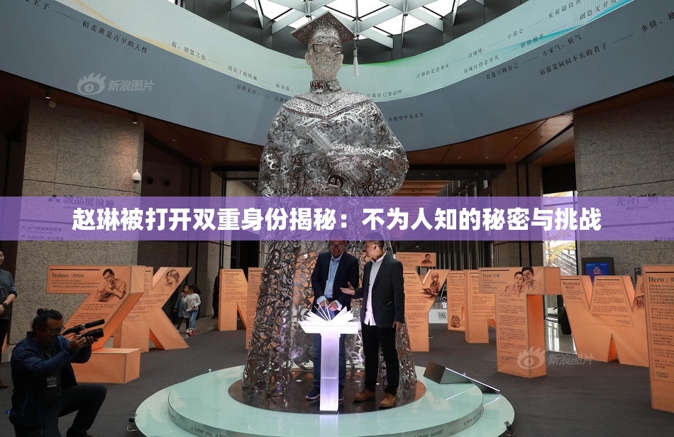 赵琳被打开双重身份揭秘：不为人知的秘密与挑战