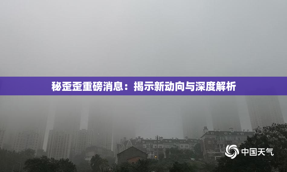 秘歪歪重磅消息：揭示新动向与深度解析