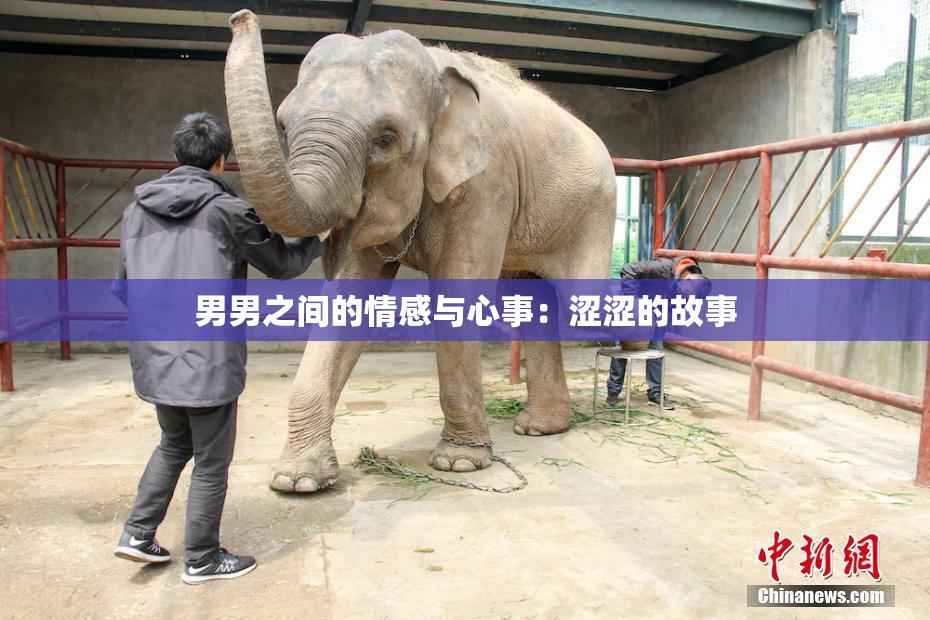 男男之间的情感与心事：涩涩的故事