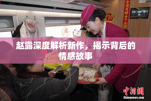 赵露深度解析新作，揭示背后的情感故事