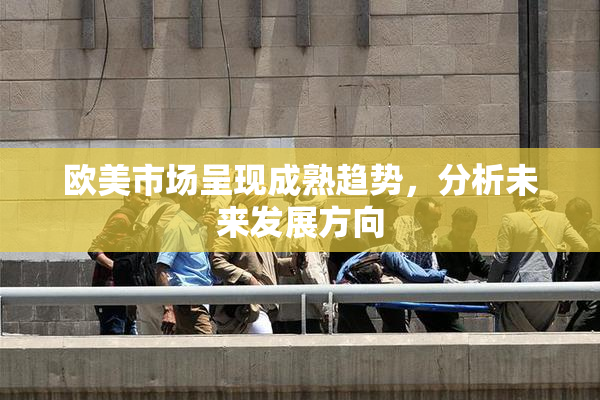 欧美市场呈现成熟趋势，分析未来发展方向
