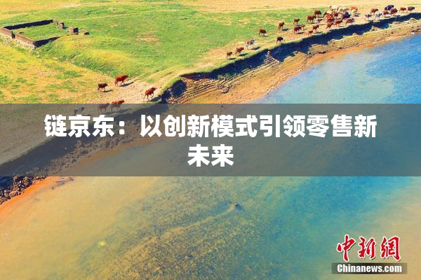 链京东：以创新模式引领零售新未来