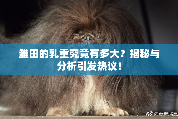 雏田的乳重究竟有多大？揭秘与分析引发热议！